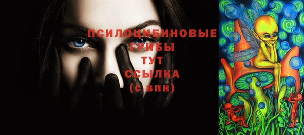стафф Елабуга