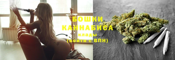 Альфа ПВП Ельня