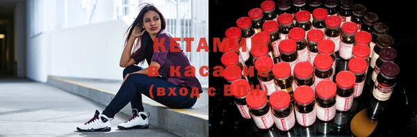 стафф Елабуга