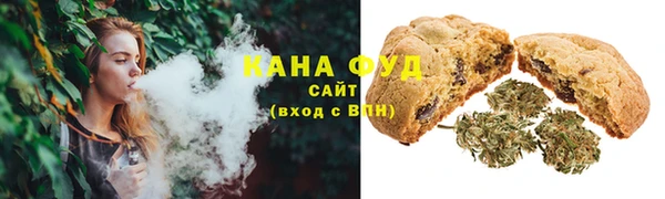 Альфа ПВП Ельня