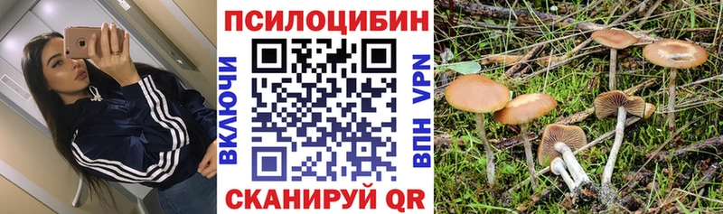 Псилоцибиновые грибы GOLDEN TEACHER  Купить где  Называевск 